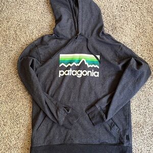 Patagonia Line Logo Hoodie